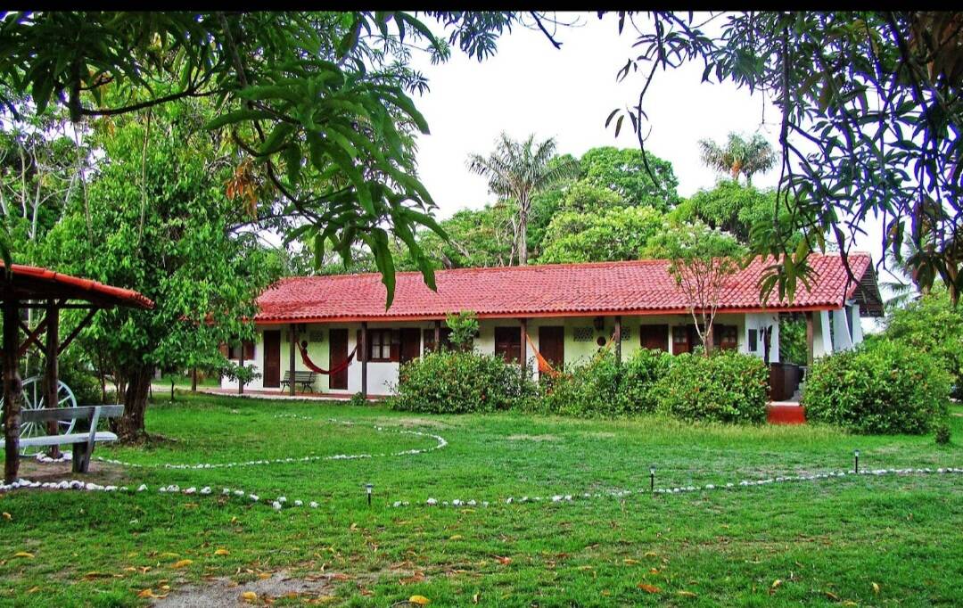 #47 - Sala para Venda em Belém - PA